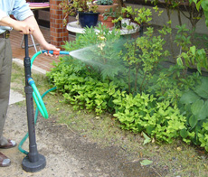 雨水活用,家庭菜園,緑のカーテン,散水ポンプ,手動ポンプ